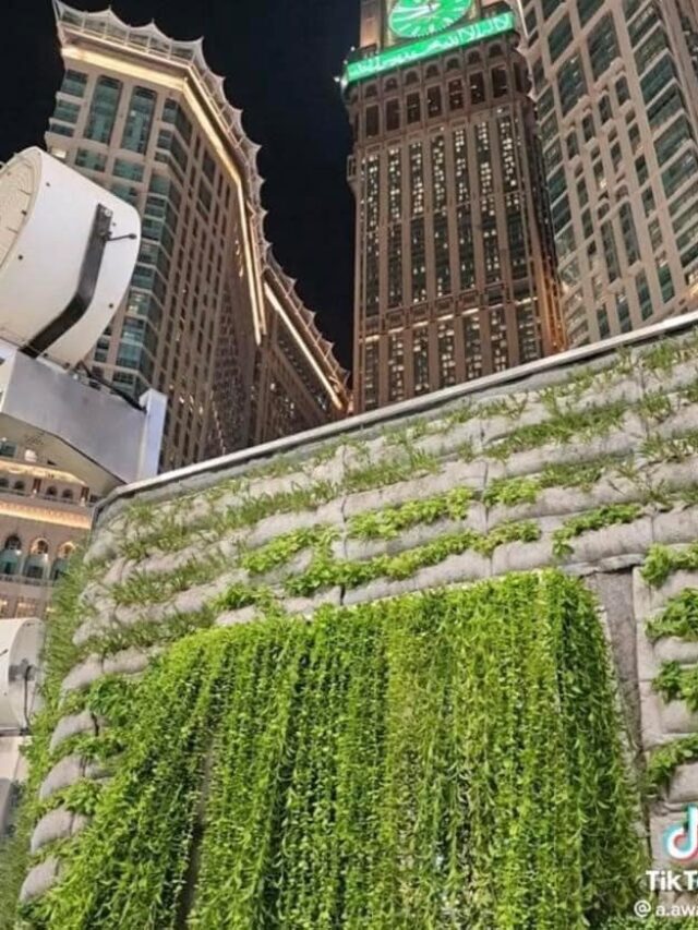 Landscaping project in Makkah