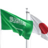 Saudis, Expats can now get Japan Tourist visa online - Saudi-Expatriates.com